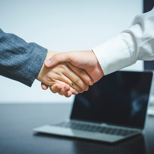 Meeting (Business Cooperation)